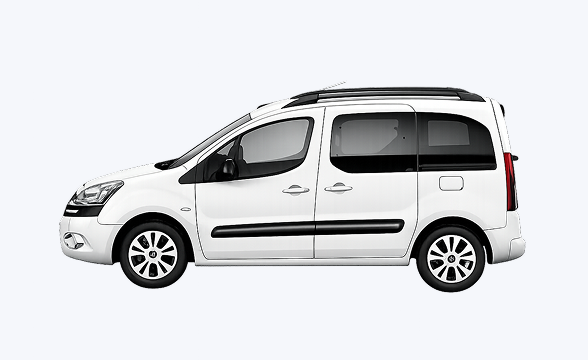 Wheelchair Accessible vehicle