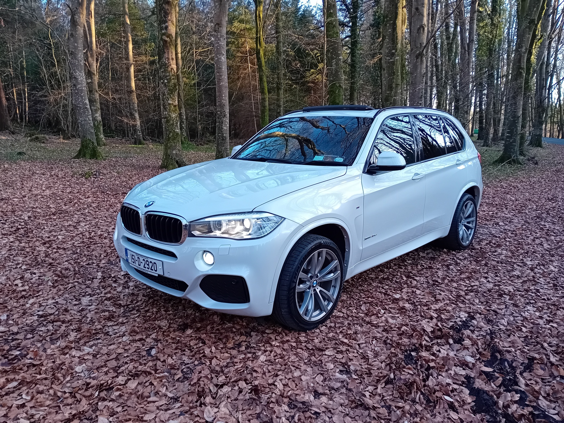Used BMW X5 2015 in Laois